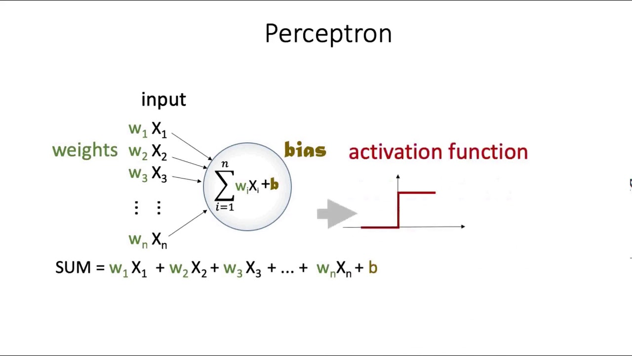 single-layer-perceptron