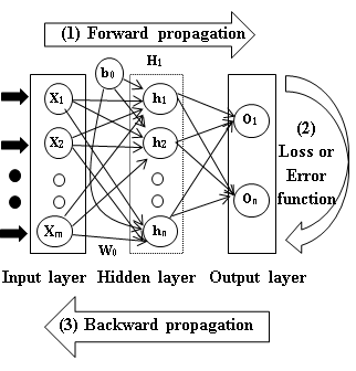 backpropagation